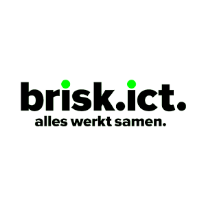 logo brisk